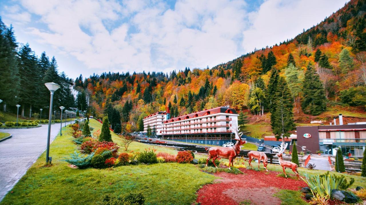 Sairme Hotels & Resorts Dış mekan fotoğraf
