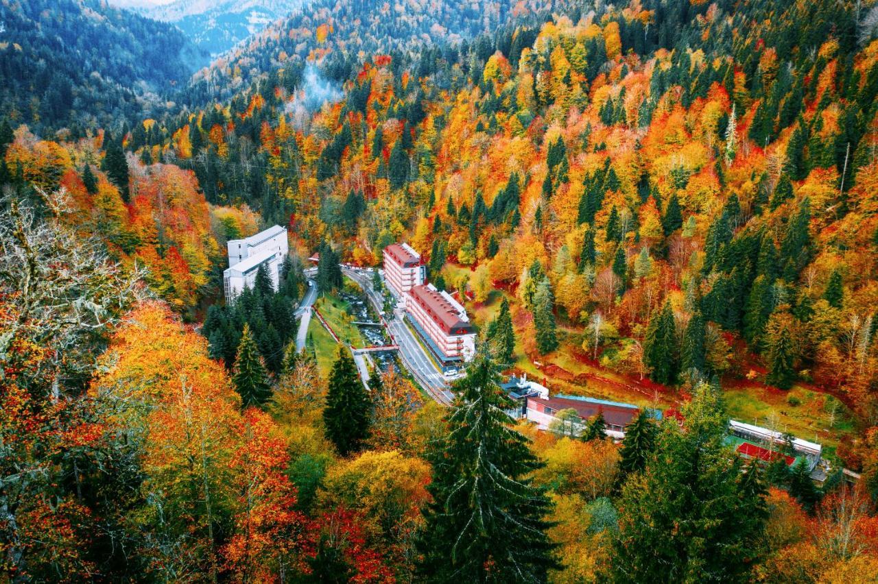 Sairme Hotels & Resorts Dış mekan fotoğraf